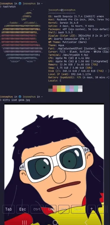 chuchu2026����