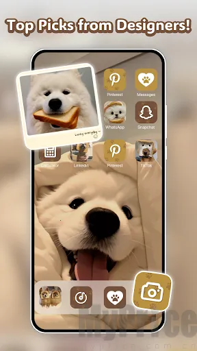 Themely2026�ٷ�����