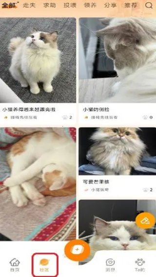 ĪĪ��ҽ2026���ذ�װ