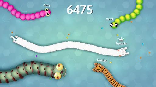 ̰����.io���ﲻ��(���������Ϸ)