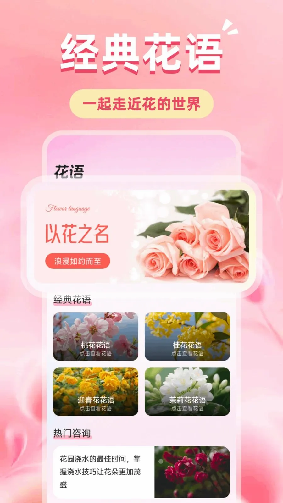 �ǹ��Ļ�(ֲ��ʶ��APP)v1.1 ��׿��
