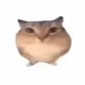 �ͰͲ�һ���������ֻ���v1.0 ��׿��