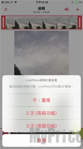 intolive��̬��ֽ��������׿���ֻ���