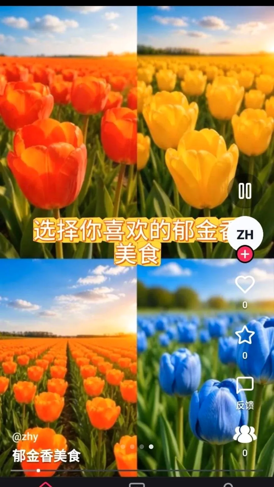 ����ʰȤ�����ֻ���v1.0.0 ��׿��