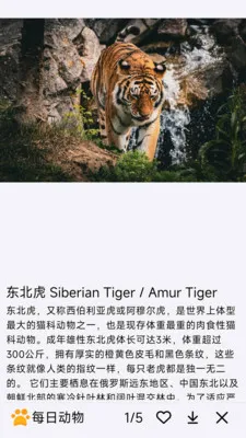 ÿ�ն���2026�ٷ����°汾v1.0.0 ��׿��
