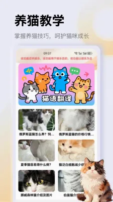 ����è��app��׿���ֻ���v1.3 �ֻ���