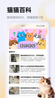 ����è��app��׿���ֻ���v1.3 �ֻ���