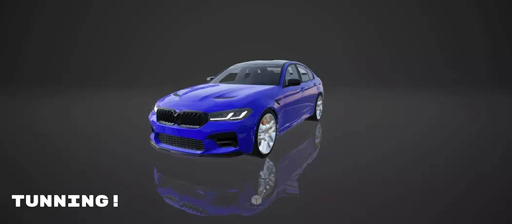 PROJECT R���ռ�����ģ����(����ģ����Ϸ)v0.2.04 ��׿��