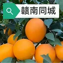 ����ͬ��(ͬ���������)v15.7.4 ��׿��