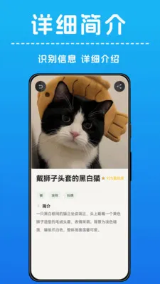 AI����ʶ��(����ʶ��Ӧ��)v1.0.4 �ֻ���