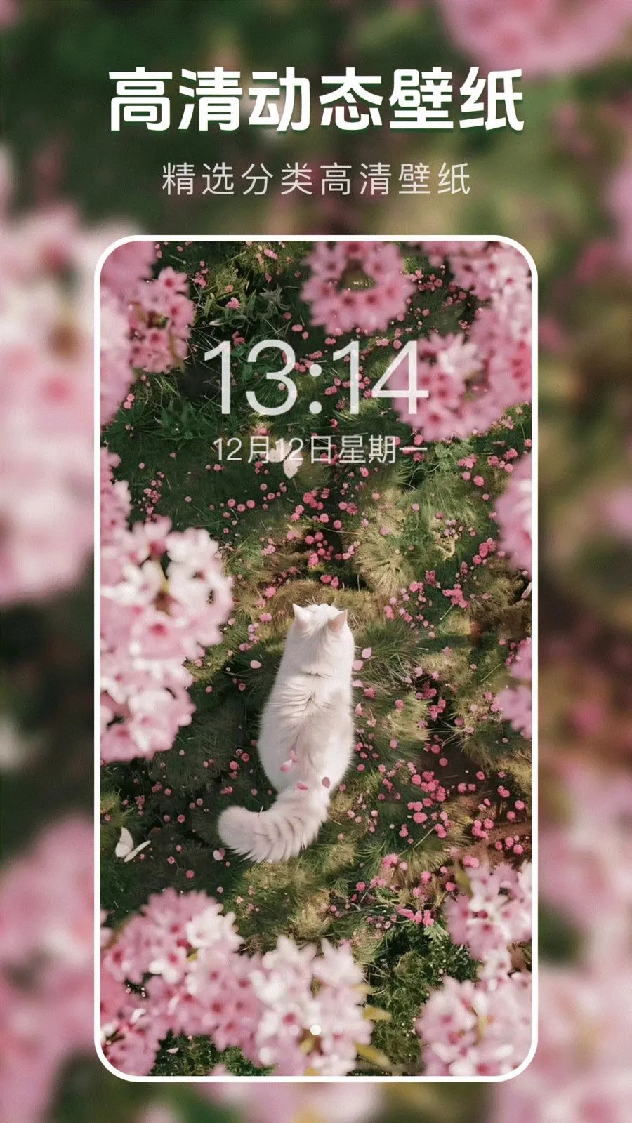 ��̬�����ֽ��(��ֽ����Ӧ��)v1.0.0 �ֻ���