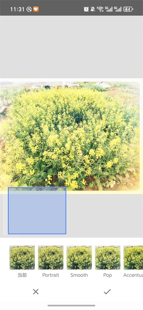 BetterSeed(ͼƬ��ͼ����)v2.22.0.633363672 �ֻ���