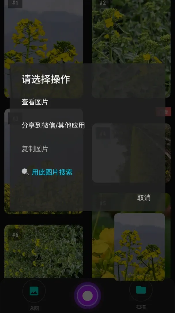 ������ͼ(����ͼƬ��������)v1.0 �ֻ���
