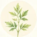 野草日记(离线日记应用)v1.0.0 安卓版