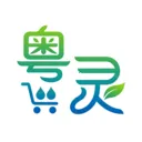 粤灵2026最新版本v1.0.32.3 手机版